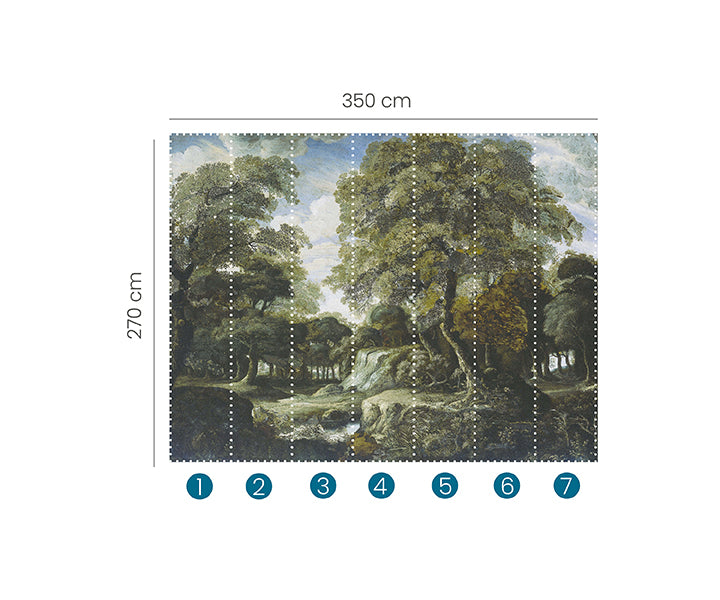Zooom - Fototapet Forest