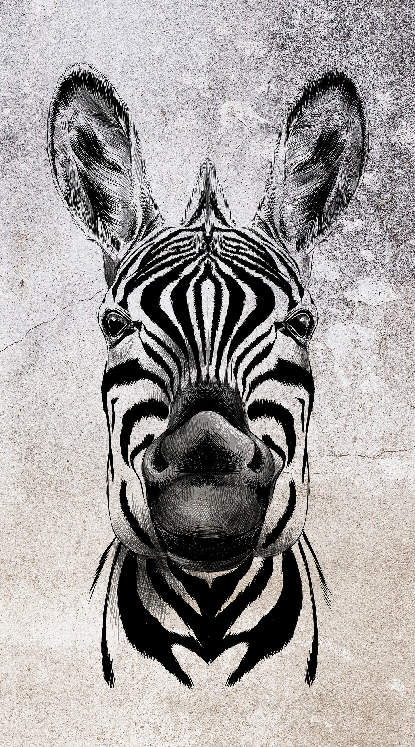 Zooom - Fototapet Cool Zebra