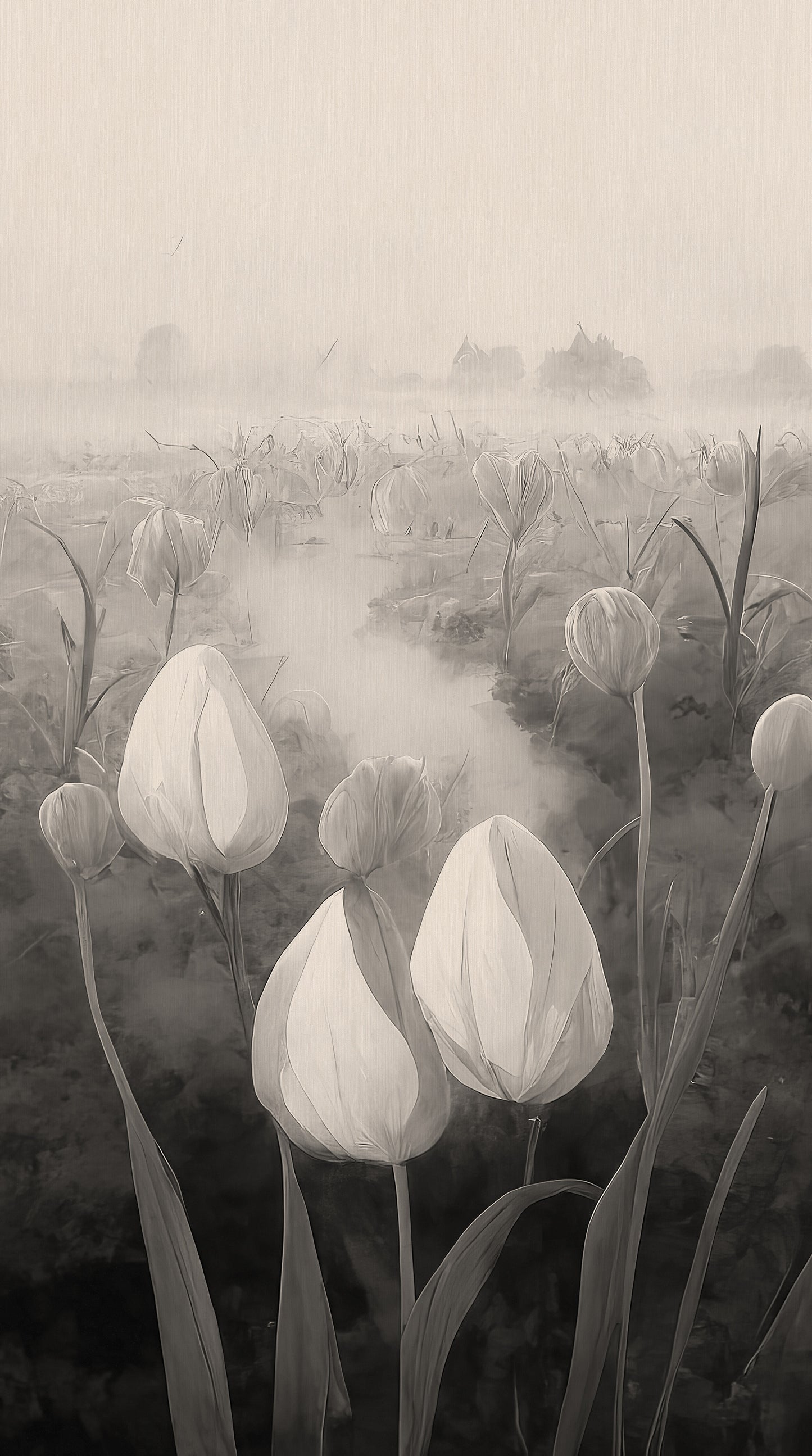 Zooom - Fototapet Tulips