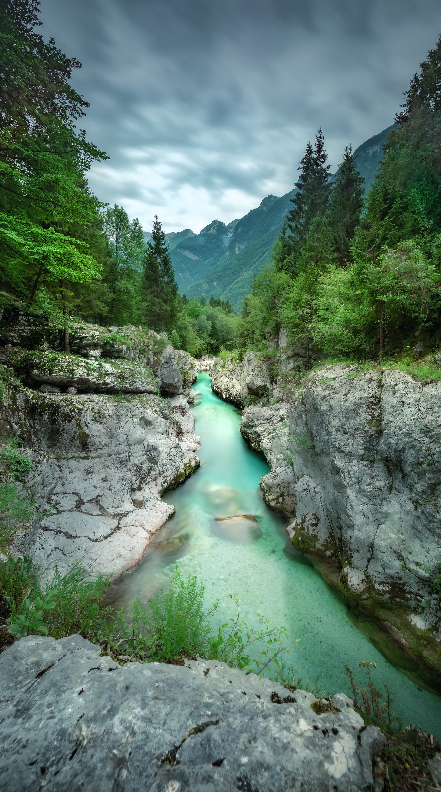 Zooom - Fototapet Green River